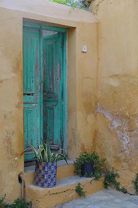 Athens - Plaka cat - Greece / Athens / Plaka